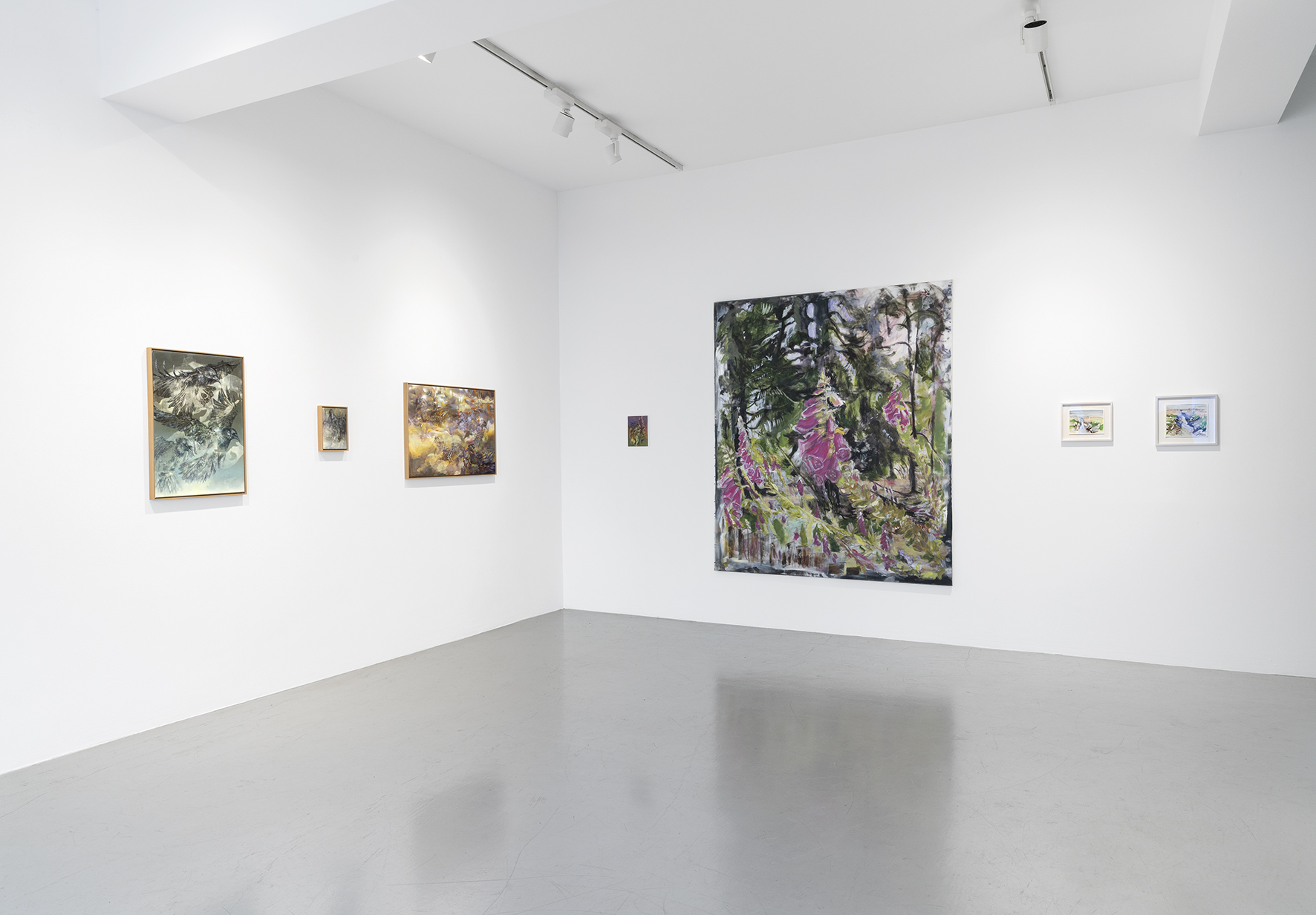 Artemisia – Ansicht 7