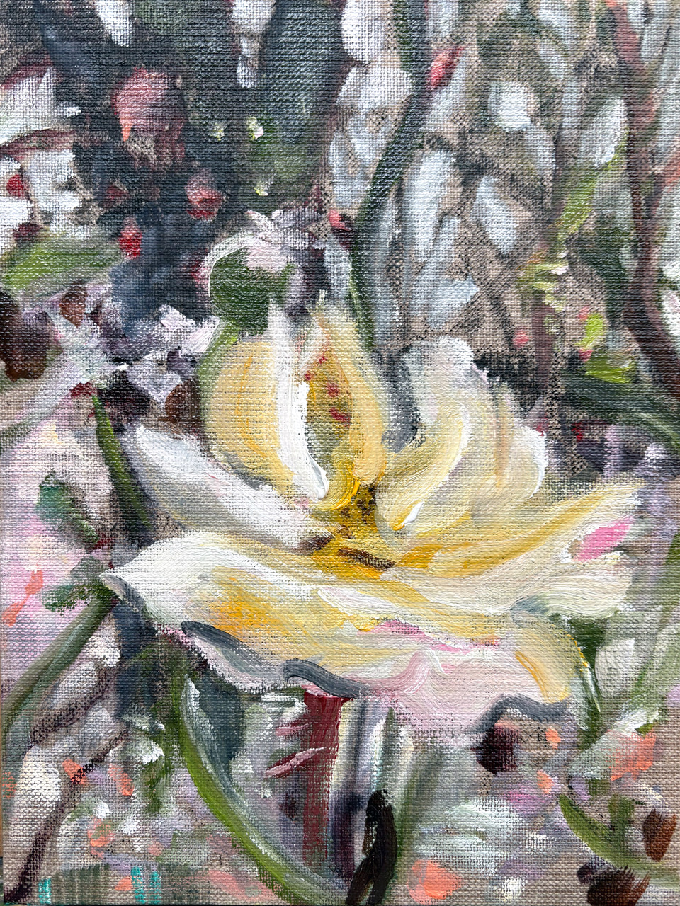 Tanja Selzer – 2026 - Winter Bloom
